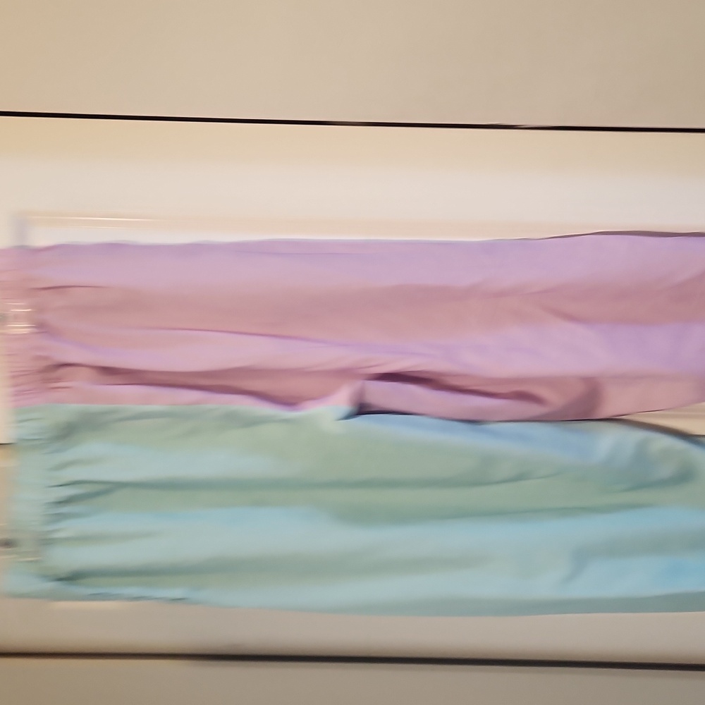 Split Color Joggers - Picture 3 of 3